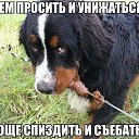 ���� �����, ������, 40 ��� - ��������� 14 ���� 2014 � ������ ������ ��������
