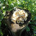 ���� �������, ���, 67 ��� - ��������� 6 ������� 2014 � ������ ������ 2014�