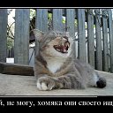 �� �� ����� ������ �� ���� ������� �� ������� ���� ����� � �������������� ������-������