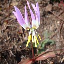 ���� �������, ������ - ��������� 27 ���� 2014 � ������ ������ ��������