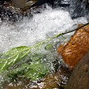 ���� Vikecha, ������ - ��������� 1 ���� 2014 � ������ ������� ������,���� �������(�������),����������� �-���