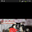 ���� Din Li, ������, 54 ���� - ��������� 6 ���� 2014 � ������ ���� ����������