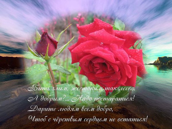���� - 17 ������ 2014 � 18:41