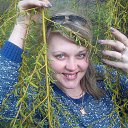 ���� ����, ��������, 41 ��� - ��������� 20 ������ 2014 � ������ ���� ����������