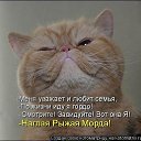���� ������, ������ ������� - ��������� 17 ������ 2014 � ������ ������ ��������