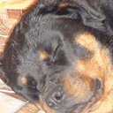 ���� �����, ��������� - ��������� 18 ����� 2014 � ������ �������