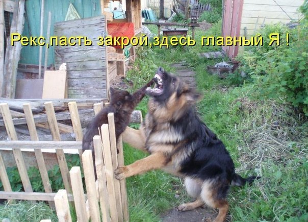  - 21  2014  18:53