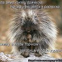  , , 46  -  19  2014   ))))