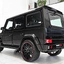 ���� ������, ������, 46 ��� - ��������� 21 ���� 2014 � ������ ���� ����������