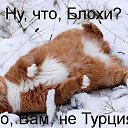 ���� �������, ��������-��-������, 48 ��� - ��������� 24 ���� 2014 � ������ ������ ��������