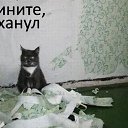 ���� �����, ������, 43 ���� - ��������� 27 ���� 2014 � ������ ������ ��������