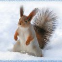  ,  , 23  -  16  2014    