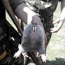 ���� ���������, ��������, 50 ��� - ��������� 5 ���� 2014 � ������ �����������߻