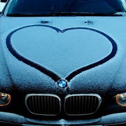 ���� �����, �����-���������, 42 ���� - ��������� 26 ���� 2014