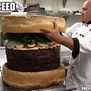 ���� 28 �� ������, �������� - ��������� 17 ���� 2014 � ������ ������ ��������