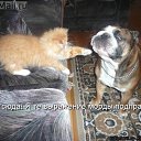 ���� ���� �-238, ������ - ��������� 12 ���� 2014 � ������ ������ ��������