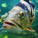 ���� ��� ))))), ��� - ��������� 24 ���� 2014 � ������ ������ ��������