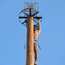 ���� ����������, ������� ��������, 63 ���� - ��������� 7 ���� 2014 � ������ �������� �������� ���������