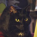 ���� Ami, ������, 32 ���� - ��������� 1 ��� 2014 � ������ ������ ��������