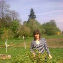 ���� �����, �������, 47 ��� - ��������� 1 ��� 2014 � ������ ���� ����������