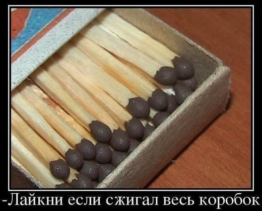    :D - 8  2014  22:09