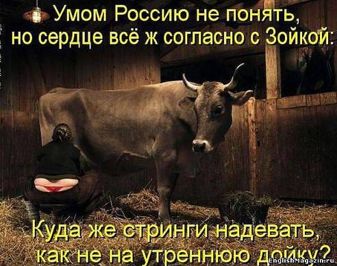 "Здравствуй, дорогая редакция. Пишет тебе Наташа из Краснодарского края. У меня грудь 4 - го ...