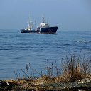 ���� ������, ������, 66 ��� - ��������� 12 ��� 2014 � ������ ��.�������.�