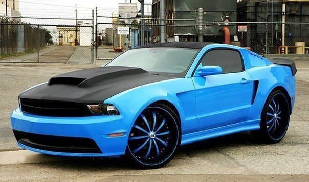 Mustang