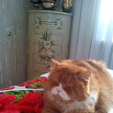 ���� ������ - ���� ..., ������ - ��������� 11 ������� 2014 � ������ ������ ��������