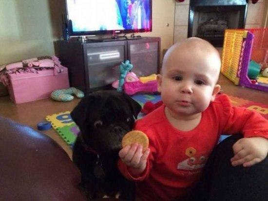 .•°Dogs Forever°•. - 10  2014  15:10