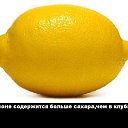 ���� �������, ����������, 51 ��� - ��������� 7 ��� 2014 � ������ ���� ����������