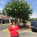 ��� (���� 2014) �� ������� ����� �� ����