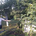 Lietuva-Kretinga mano sodas �� ������� ���� ����������