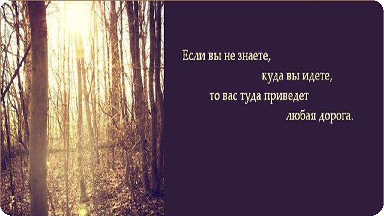 Идите куда подальше. Цитаты со смыслом о леса. Статус с картинкой леса. Жизнь в лесу статусы. Высказывания про жизнь в лесу.