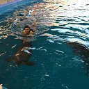 ���� �����, �����-���������, 52 ���� - ��������� 8 ���� 2014 � ������ ������� 2014�