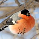 ���� L�, �������, 49 ��� - ��������� 25 ����� 2014 � ������ ���� ����������