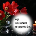 ���� ������, ������ - ��������� 17 ����� 2014 � ������ ������ ��������