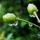 1.06.2014 �� ������� �����ܻ