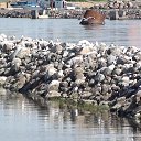  San Marina,  -  16  2014   