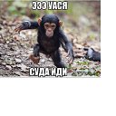 ���� ��������, ������, 40 ��� - ��������� 3 ������ 2014 � ������ ������ ��������
