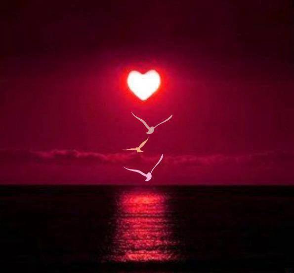GOOD NIGHT