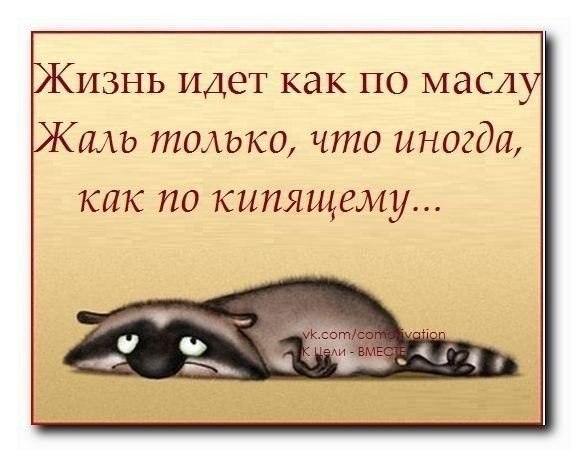 (  ,   - 8  2014  11:15
