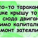 ���� ��������, ����, 56 ��� - ��������� 2 ���� 2014 � ������ ������ ��������