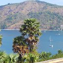  , , 44  -  11  2014    2014