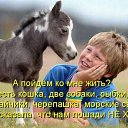  ,  -  9  2014    