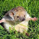 ���� ����, ����������, 47 ��� - ��������� 24 ���� 2014 � ������ ������ ��������