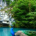 ���� �����, ���� - ��������� 12 ���� 2014 � ������ ���� ����������