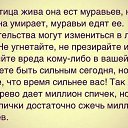 Vasiliys,  -  8  2014    