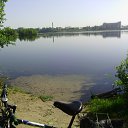 ���� �����, �������, 61 ��� - ��������� 25 ��� 2014 � ������ ������ ��������