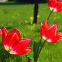 ���� ������, �����-��������� - ��������� 10 ���� 2014 � ������ ������ ��������